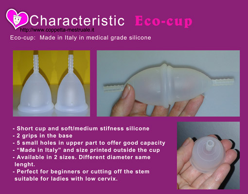 Eco-cup features