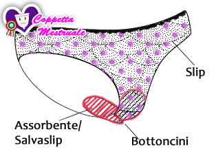 mutande assorbenti lavabili