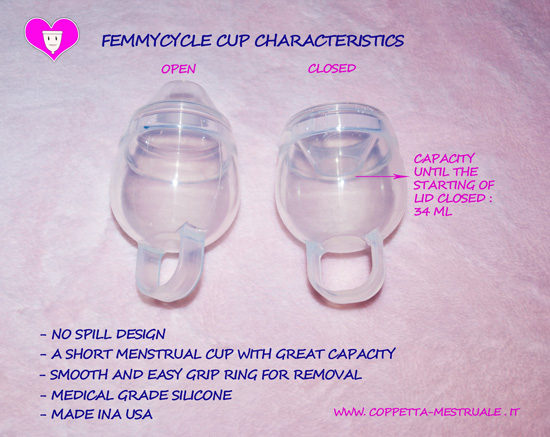 FemmyCycle menstrual cup