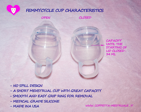 Shop online FemmyCycle
